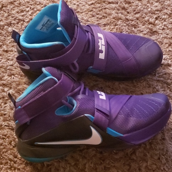 lebron charlotte hornets shoes